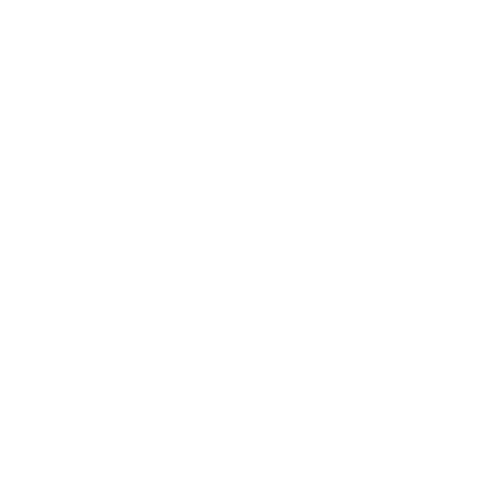 BellaAmici_logo_white Cupping Therapy Irwin, Pennsylvania